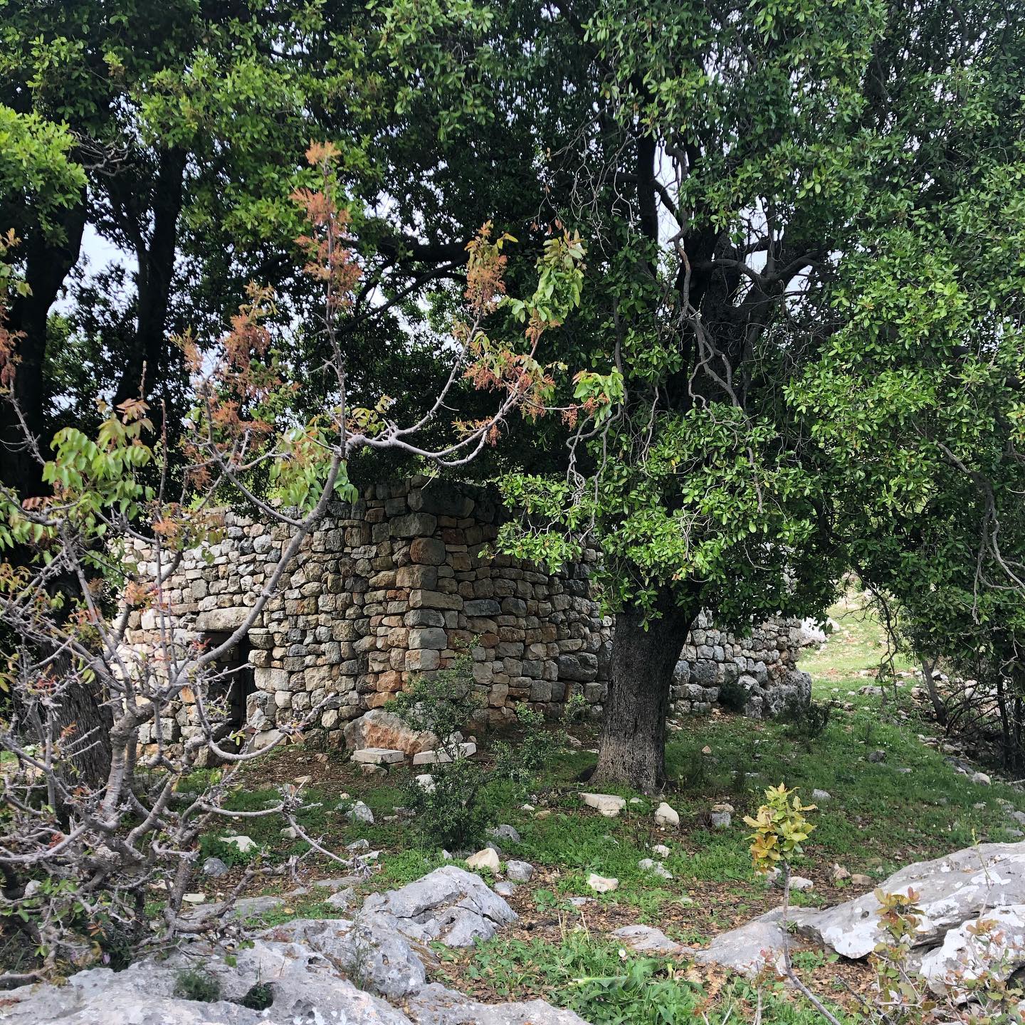 Saint Saba Church